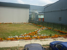 P1040746