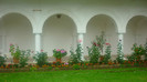 P1030761