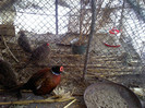 P260111_12.29_[01]