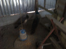 P291211_13.13_[02]