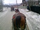 P220112_11.49