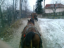 P220112_12.15