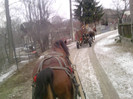P220112_12.15_[01]