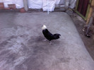 P100112_15.52_[03]