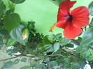 DSC07012