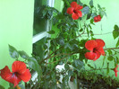 DSC07014