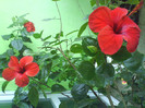 DSC07015