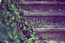 vintage_steps_by_sophie_midnight-d4gdfpf_large