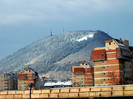 61185413_BCGCWFY2