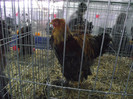 DSCF1372