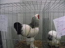 DSCF1377