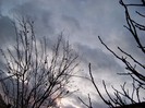 100_4290