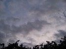 100_4296