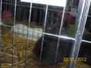 Picture 048