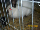 Picture 052