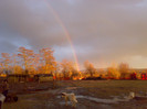 23012012648