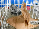 DSCN3572