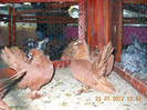 DSCN3577