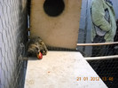DSCN3578