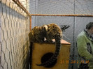 DSCN3579