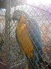 DSCN3582