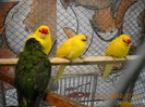 DSCN3584