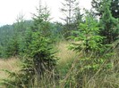 P1170082