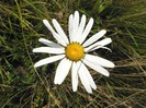P1170135
