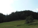 P1170206
