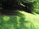 P1170239
