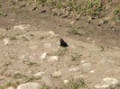 P1170246