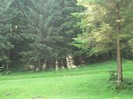 P1170272