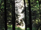 P1170300