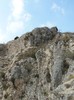 P1180112