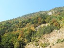 P1180249