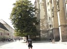 P1180525