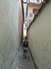 P1180551