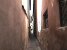 P1180556
