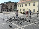 P1180635