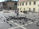 P1180636