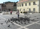 P1180637
