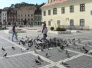 P1180638