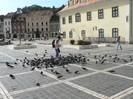 P1180639