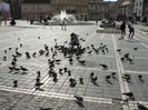 P1180644