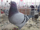 DSCF1549