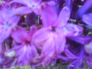 DSC01775