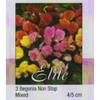 begonia non stop mixed