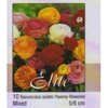 ranunculus mixed