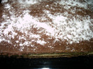 IMAG0005