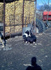 Image0866